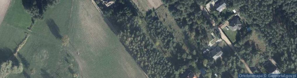 Zdjęcie satelitarne Osiedle Pod Lipami os.