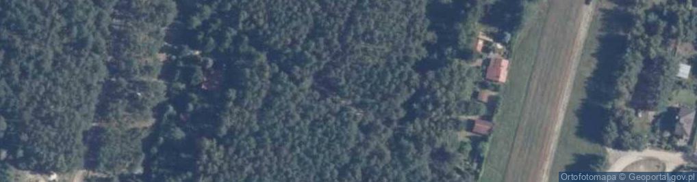 Zdjęcie satelitarne Ozorkowska ul.