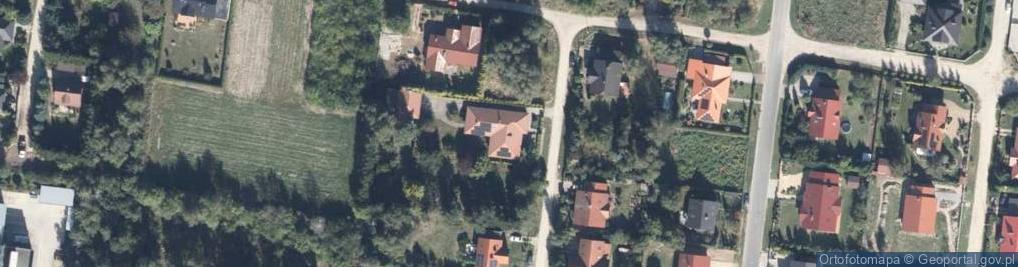Zdjęcie satelitarne Pasieka ul.