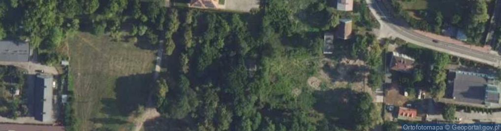 Zdjęcie satelitarne Pałacowa ul.