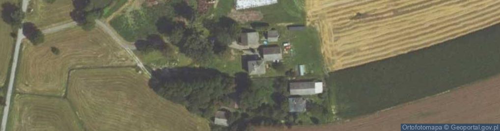 Zdjęcie satelitarne Pazurowicka ul.