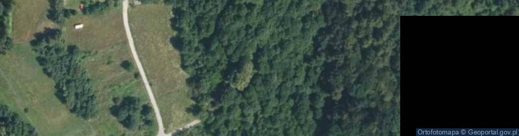 Zdjęcie satelitarne Partyzantów ul.