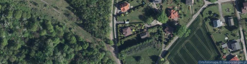 Zdjęcie satelitarne Parzychów Marii i Franciszka ul.