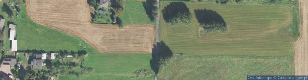 Zdjęcie satelitarne Pasterska ul.