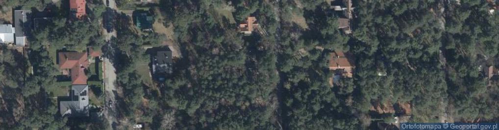 Zdjęcie satelitarne Pańska ul.