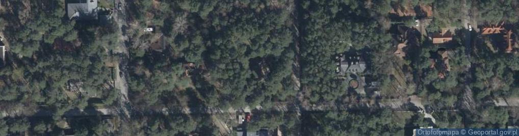 Zdjęcie satelitarne Pańska ul.