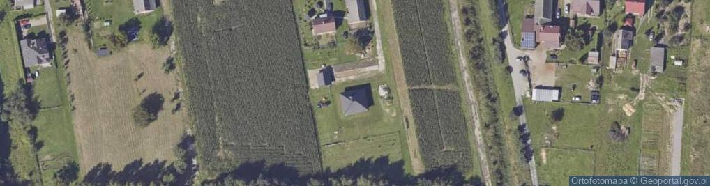 Zdjęcie satelitarne Pawęzowska ul.