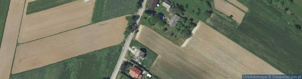 Zdjęcie satelitarne Pawia ul.