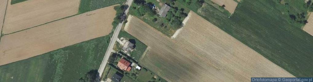 Zdjęcie satelitarne Pawia ul.
