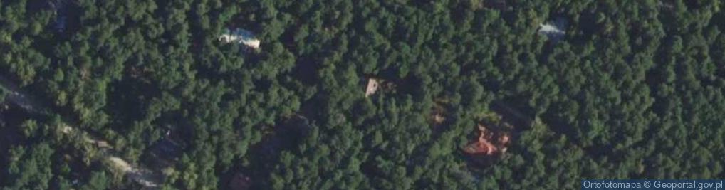 Zdjęcie satelitarne Paprociowa ul.