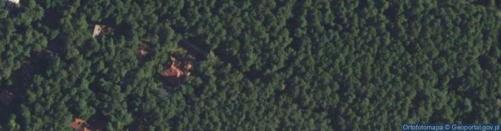 Zdjęcie satelitarne Paprociowa ul.