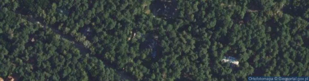 Zdjęcie satelitarne Paprociowa ul.
