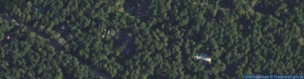 Zdjęcie satelitarne Paprociowa ul.