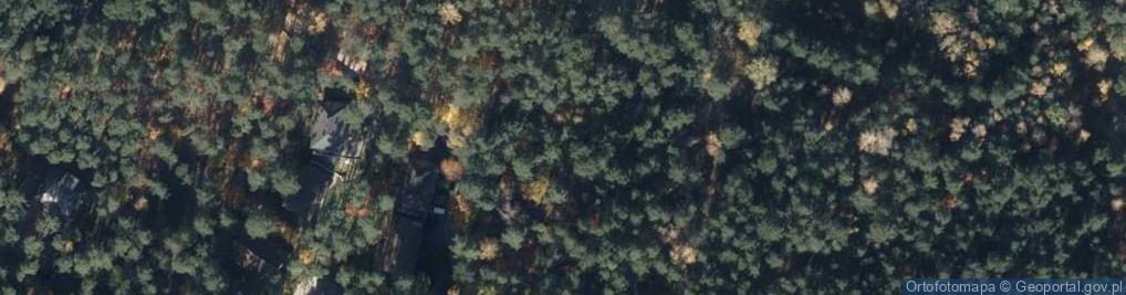 Zdjęcie satelitarne Paprociowa ul.