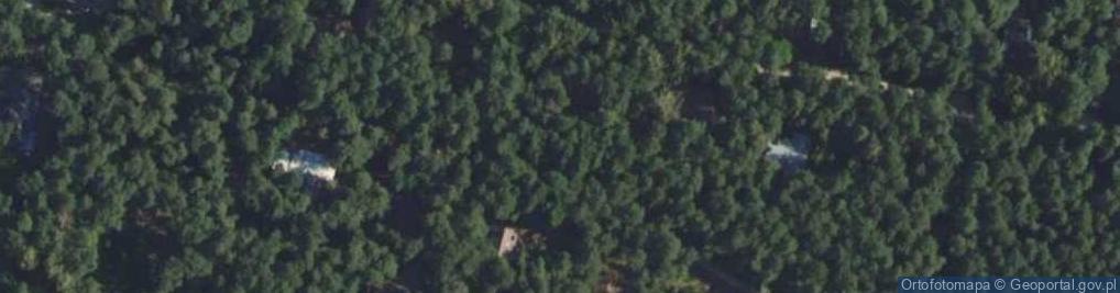 Zdjęcie satelitarne Paprociowa ul.