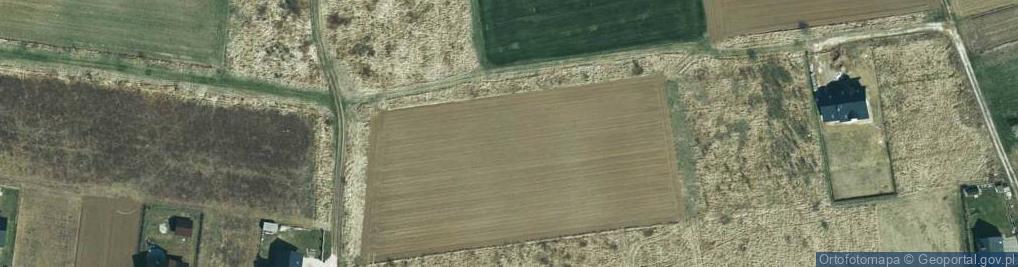 Zdjęcie satelitarne Palmowa ul.