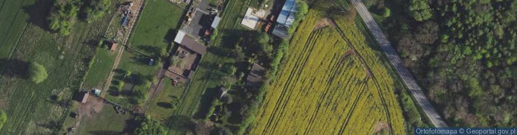 Zdjęcie satelitarne Papiernia ul.