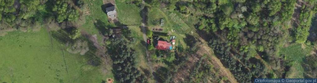 Zdjęcie satelitarne Pawia ul.