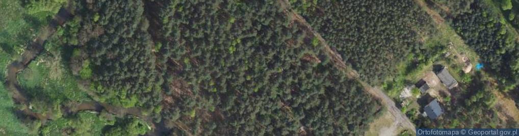 Zdjęcie satelitarne Pawia ul.