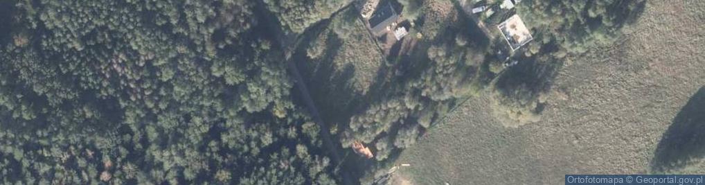 Zdjęcie satelitarne Pasieka ul.