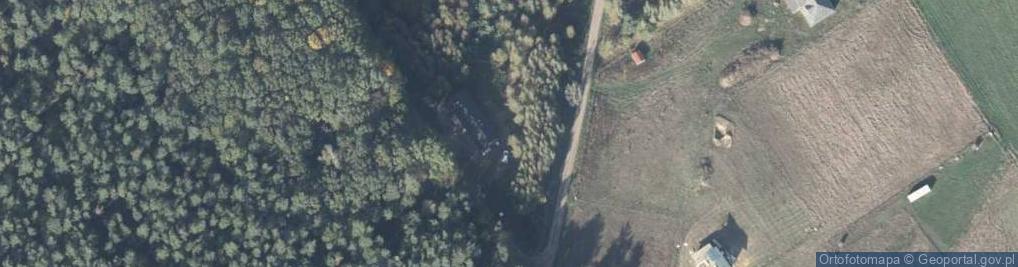 Zdjęcie satelitarne Pasieka ul.