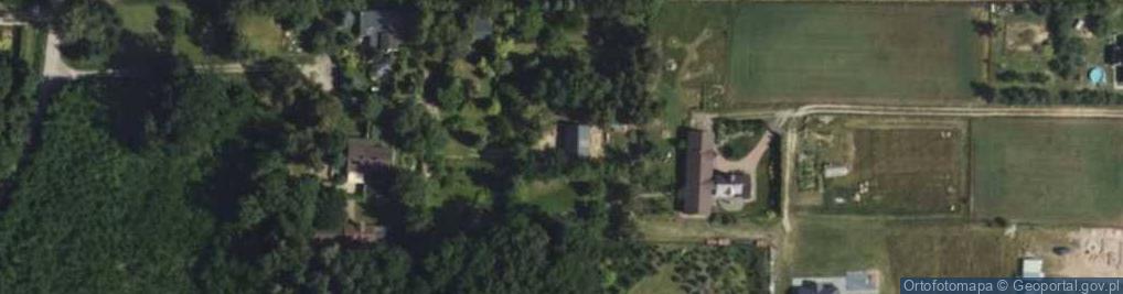 Zdjęcie satelitarne Pałacowa ul.