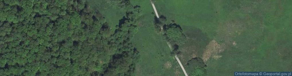 Zdjęcie satelitarne Paryska ul.