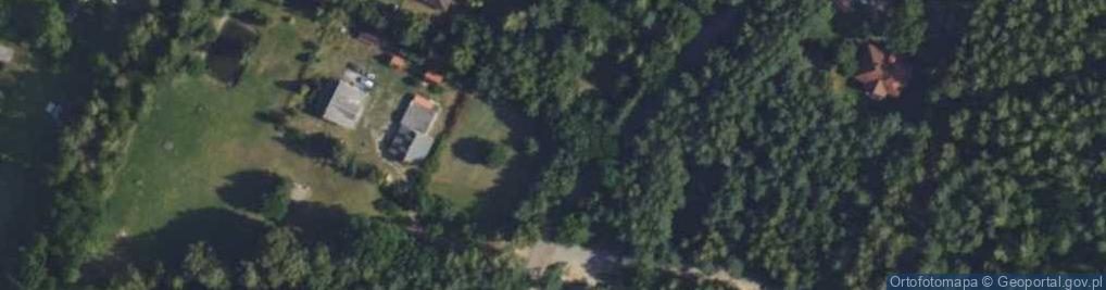 Zdjęcie satelitarne Paprociowa ul.