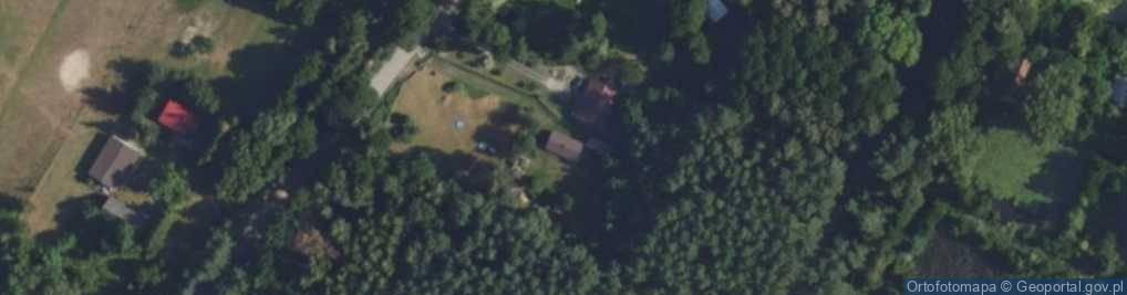Zdjęcie satelitarne Paprociowa ul.