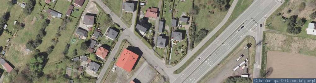 Zdjęcie satelitarne Palowicka ul.