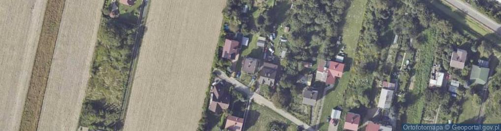 Zdjęcie satelitarne Paulinowska ul.