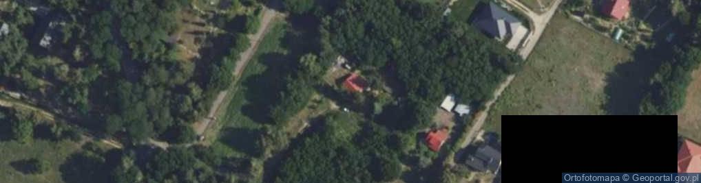 Zdjęcie satelitarne Pasikoników ul.