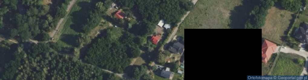 Zdjęcie satelitarne Pasikoników ul.