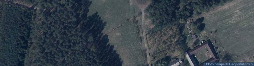 Zdjęcie satelitarne Pajęczno ul.