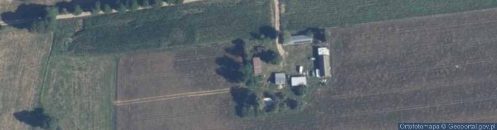 Zdjęcie satelitarne Pałapus ul.