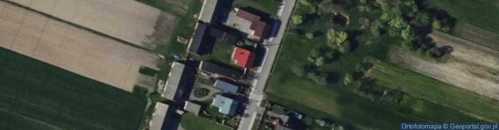 Zdjęcie satelitarne Pałczew ul.