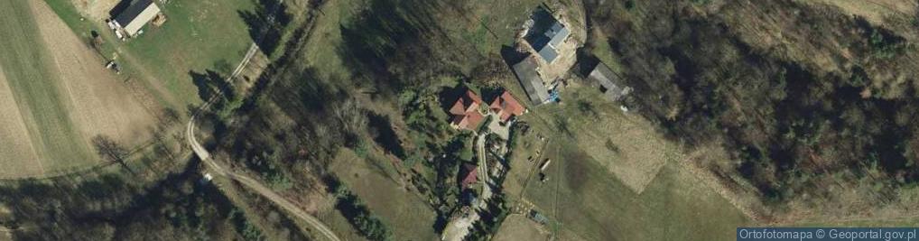 Zdjęcie satelitarne Paleśnica ul.