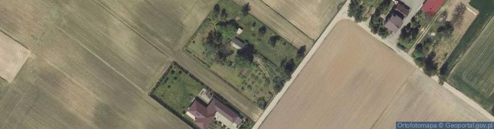 Zdjęcie satelitarne Palikije Pierwsze ul.