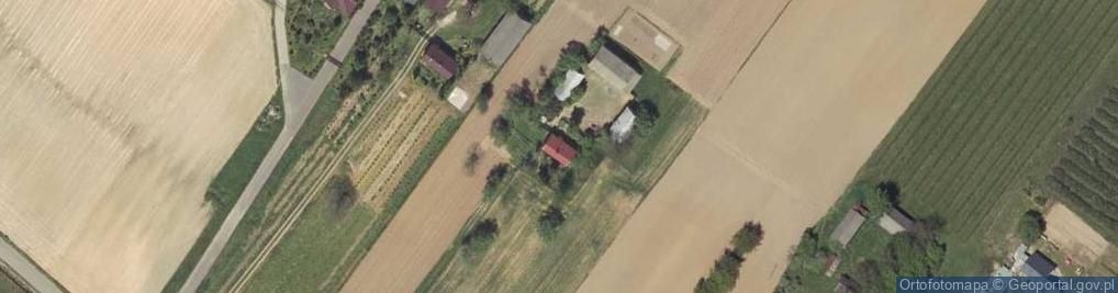 Zdjęcie satelitarne Palikije Pierwsze ul.