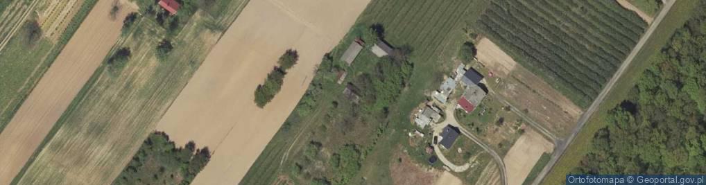 Zdjęcie satelitarne Palikije Pierwsze ul.