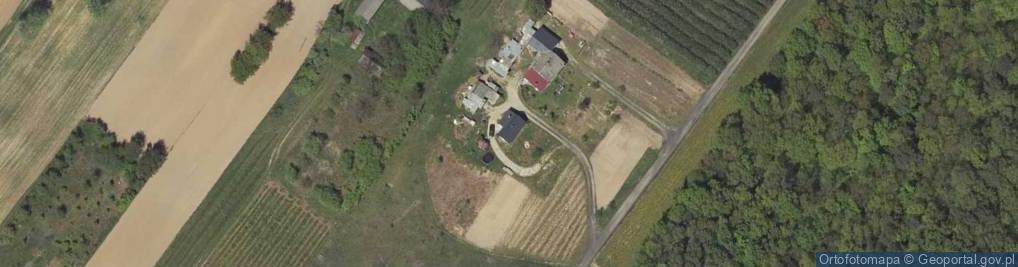 Zdjęcie satelitarne Palikije Pierwsze ul.