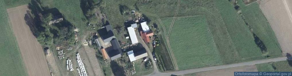 Zdjęcie satelitarne Paliszewo ul.