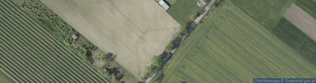 Zdjęcie satelitarne Pałki ul.