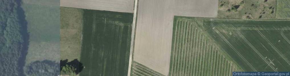 Zdjęcie satelitarne Pałki ul.