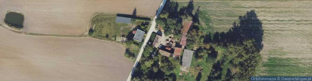 Zdjęcie satelitarne Palmierowo ul.