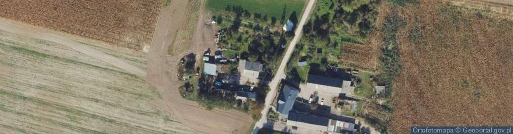 Zdjęcie satelitarne Palmierowo ul.