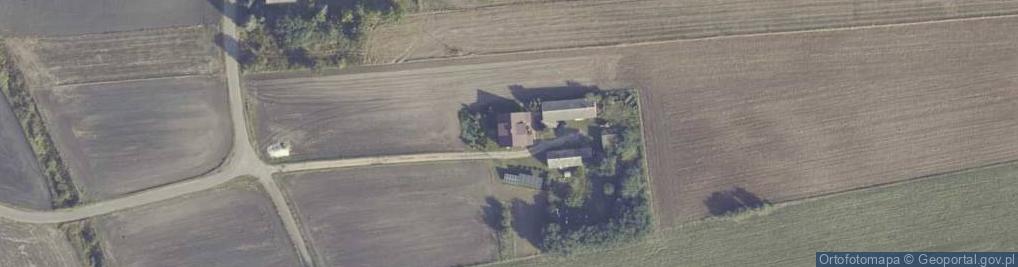 Zdjęcie satelitarne Palmowo ul.