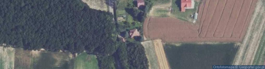 Zdjęcie satelitarne Pamięcice ul.