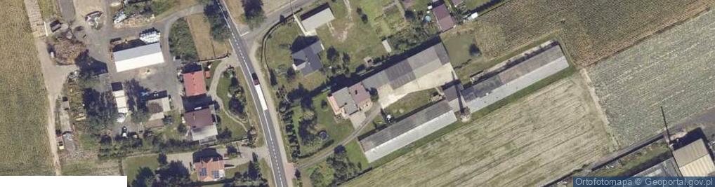 Zdjęcie satelitarne Pamięcin ul.