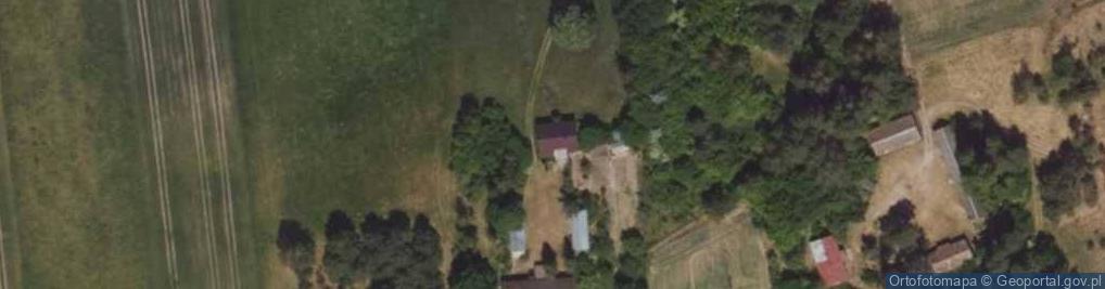 Zdjęcie satelitarne Pańki ul.